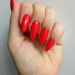 Couleur uni
